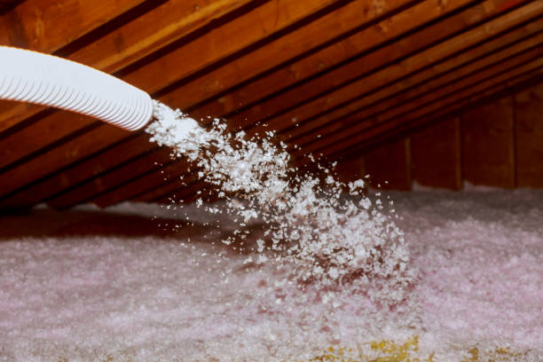 Best Fiberglass Insulation in Birch Run, MI