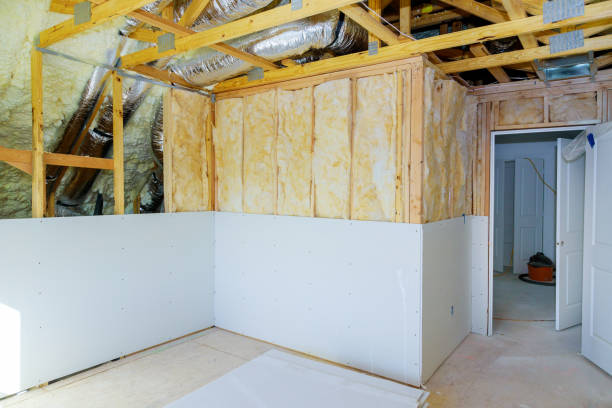 Best DIY Insulation Kits and Guidance in Birch Run, MI