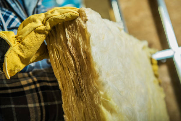 Types of Insulation We Offer in Birch Run, MI