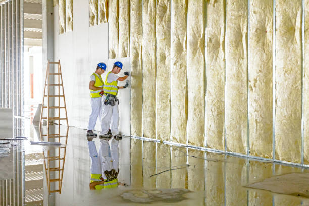 Best Specialized Insulation Services in Birch Run, MI